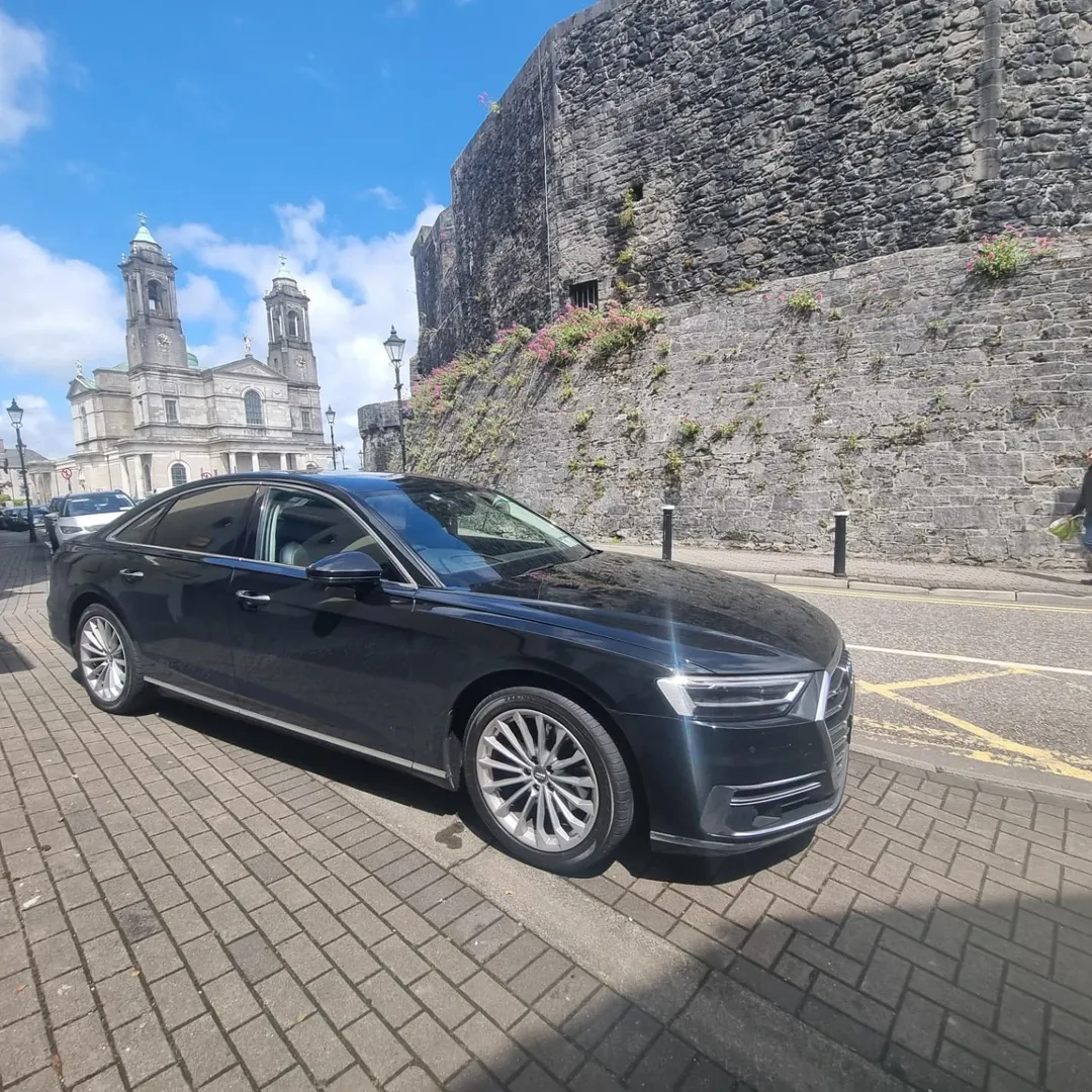 Professional chauffeur service